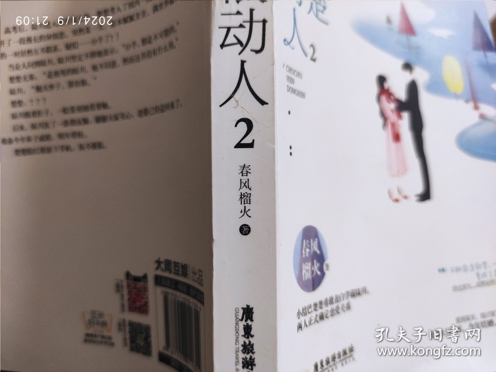楚楚很动人2