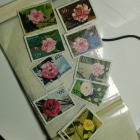T37山茶花邮票样品10枚(成交赠纪念张一枚)