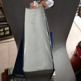 应用汉语词典纵横码版【27----1层】