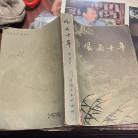 風(fēng)雨十年
