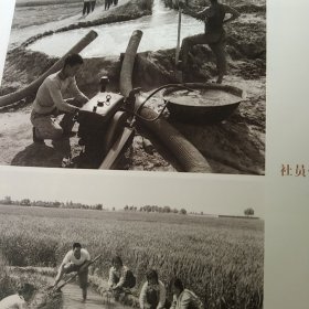 百年照片 山东省临邑县百年影像记忆上册 1900－20000