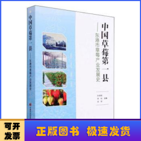 中国草莓第一县——东港市草莓产业发展史