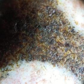 千年象雄时期七眼双龙天珠，包浆油润，皮壳老辣，满风化纹，满朱砂配珠达洛宝瓶达洛龟甲长寿纹图腾天珠，满朱砂。看图
七眼天珠寓意：（词汇禁忌省略……）大吉大利，福慧圆满之意。
 一等崩思、约2500年历史，
二等措思、约2000年历史，
三等思、就是所谓至纯1500-2000年历史，
四等琼思、天然原石打磨的缠丝玛瑙天珠，带缠丝眼为上上品