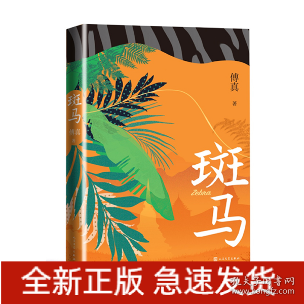 斑马（傅真2022年全新力作，从北京到曼谷，跨越三千二百公里的治愈之旅）