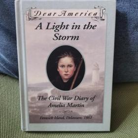 A Light in the Storm, The Civil War Diary of Amelia Martin, Fenwick Island, Delaware, 1861 暴风中的灯，艾米莉亚·马丁的美国内战日记