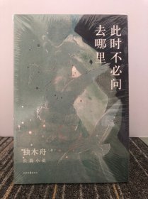 此时不必问去哪里（80后文学领军作家独木舟暌违五年，2020长篇力作）