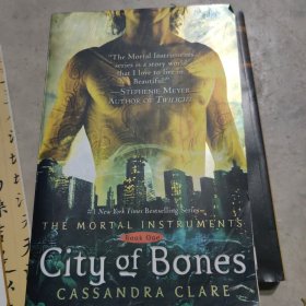 City of Bones (The Mortal Instruments, Book 1) 圣杯神器1：骇骨之城