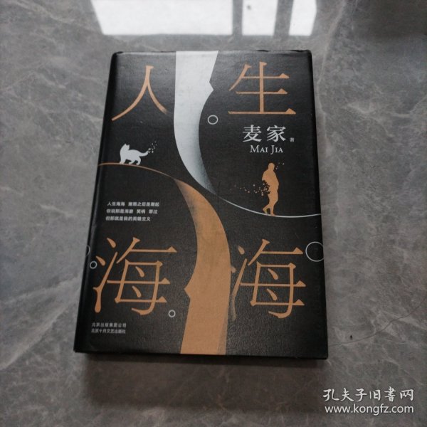 麦家：人生海海（茅盾文学奖得主麦家2019年强力之作）