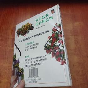 室内盆栽花卉和装饰