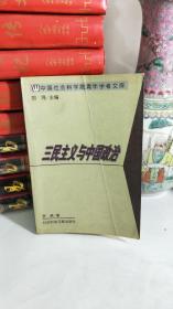 三民主义与中国政治——中国社会科学院青年学者文库/文史系列