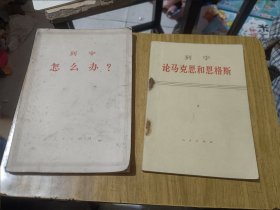 11册马恩列斯单行本合售：斯大林 苏联社会主义经济问题；恩格斯 劳动在从猿到人转变过程中的作用；恩格斯 反杜林论；列宁论民族殖民地问题的三篇文章；马克思 法兰西内战；列宁 国家与革命；列宁 帝国主义是资本主义的最高阶段；马克思 哥达纲领批判；列宁 怎么办？；列宁 论马克思和恩格斯；恩格斯 论马克思