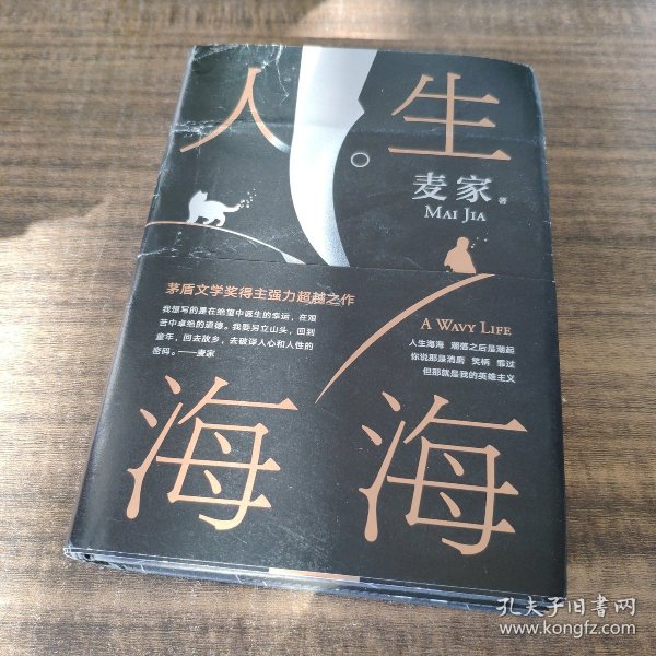 麦家：人生海海（茅盾文学奖得主麦家2019年强力之作）