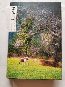 苏沧桑散文精选--遇见树（签名本）