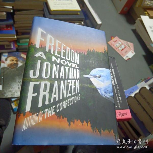 Freedom：A Novel