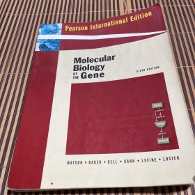 现货正版 Molecular Biology of the Gene: International Edition, 6th Edition （品相如图）