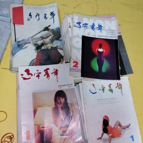 辽宁青年，1993年1-24期全