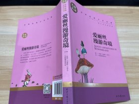 爱丽丝漫游奇境 中小学生课外阅读书籍世界经典文学名著青少年儿童文学读物故事书名家名译原汁原味读原著