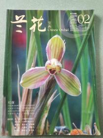 兰花宝典2006年2月