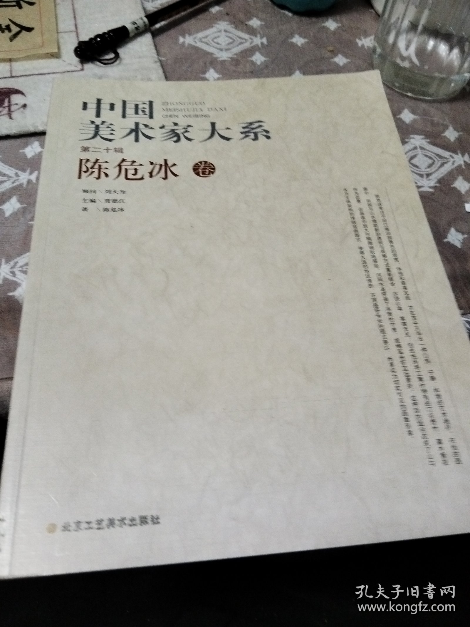 中国美术家大系第二十辑陈危冰卷