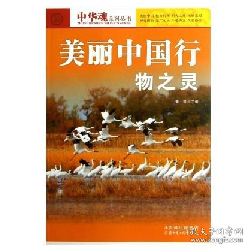 美丽中国行 物之灵9787538574791北方妇女儿童出版社