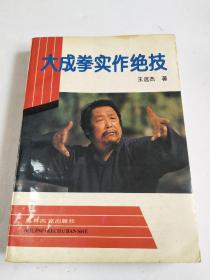 大成拳实作绝技