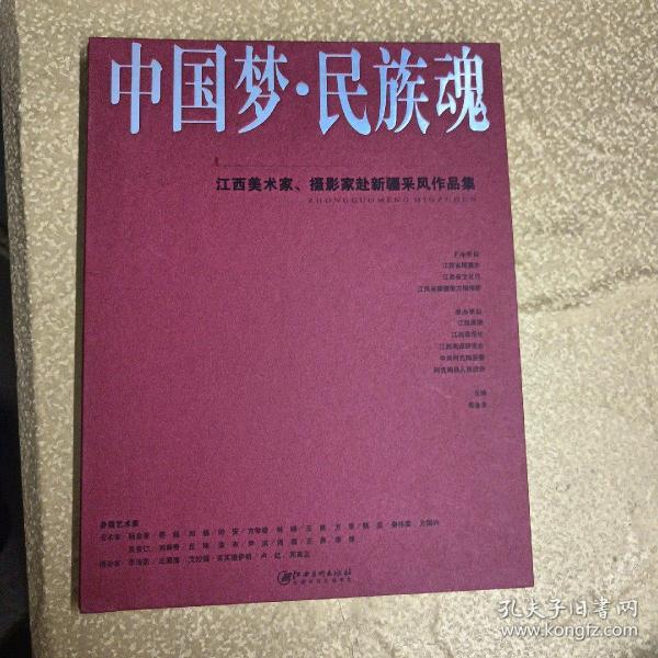 中国梦.民族魂:江西美术家、摄影家赴新疆采风作品集