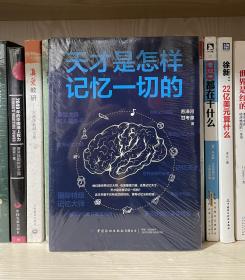 天才是怎样记忆一切的（全新塑封）