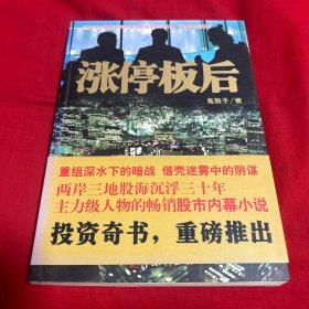 涨停板后，2007年11月第一版第一次印刷，以图片为准