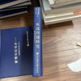 唯识问题研究 唯识学专集之六