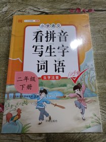 汉之简看拼音写词语二年级下册人教部编版小学语文专项同步练习册注音