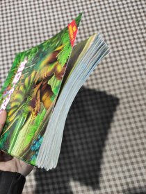 恐龙小百科（现有7册 3-9岁儿童科普读物拼音版）白垩纪公园，恐龙时代，恐龙探秘，三叠纪公园，植食恐龙，肉食恐龙
