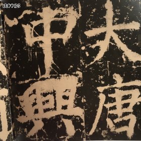 《中国书法艺术大师:颜真卿》主要内容包括：《多宝塔碑》、《郭家庙碑》、《争座位帖》、《东方朔画赞碑》、《祭侄季明文稿》、《麻姑仙坛记》、《大唐中兴颂》、《自书告身帖》、《夫子庙堂碑》、《东方朔画赞碑》、《蔡明远帖》、《刘中使帖》、论艺摘录、述张长史笔法十二意、怀素上人草书歌序、尚书刑部侍郎赠尚书右仆射孙逖文公集序等， 原价180 元 惠友价：88包邮