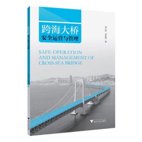 跨海大桥安全运营与管理