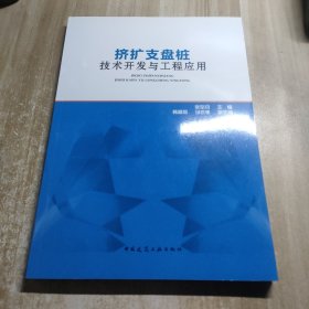 挤扩支盘桩技术开发与工程应用