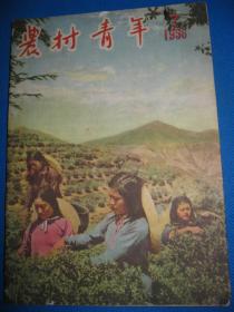 农村青年 1956年第7期