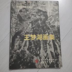 吴丽珠画集(中国当代著名画家)