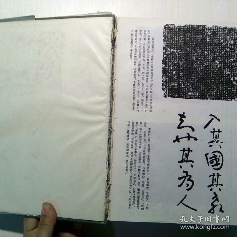 中国历代书法鉴赏大辞典 上