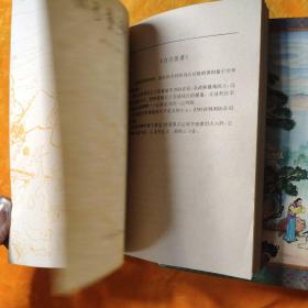 血掌魔影系列二(1一5)奇剑童子功(上中下)