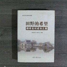 田野的希望榜样名村成功之路/红色文化研究书库