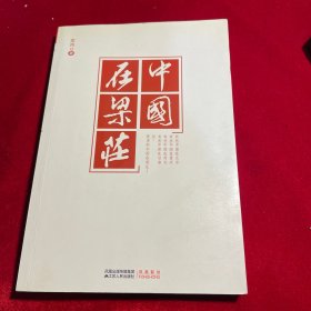 中国在梁庄