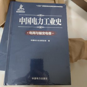 中国电力工业史 电网与输变电卷