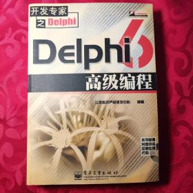 Delphi 6 高级编程 赠配套光盘1张
