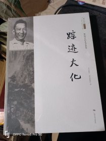 踪迹大化 : 傅抱石的艺术世界(8开现货)新书有塑封