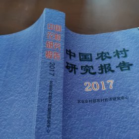 中国农村研究报告2017