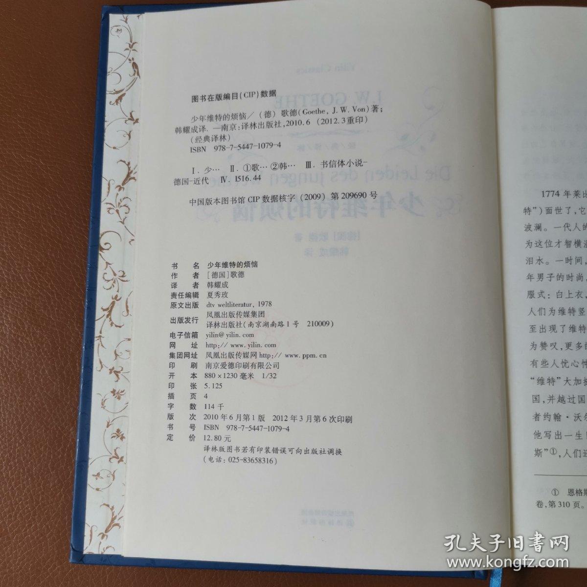 经典译林：少年维特的烦恼