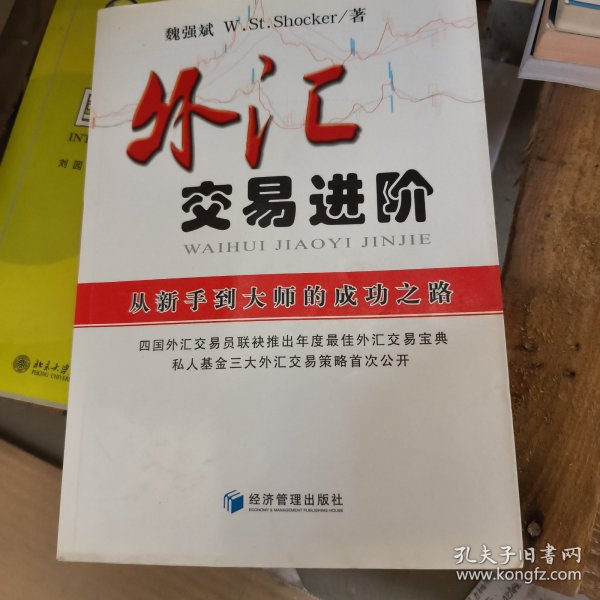 外汇交易进阶：从新手到大师的成功之路