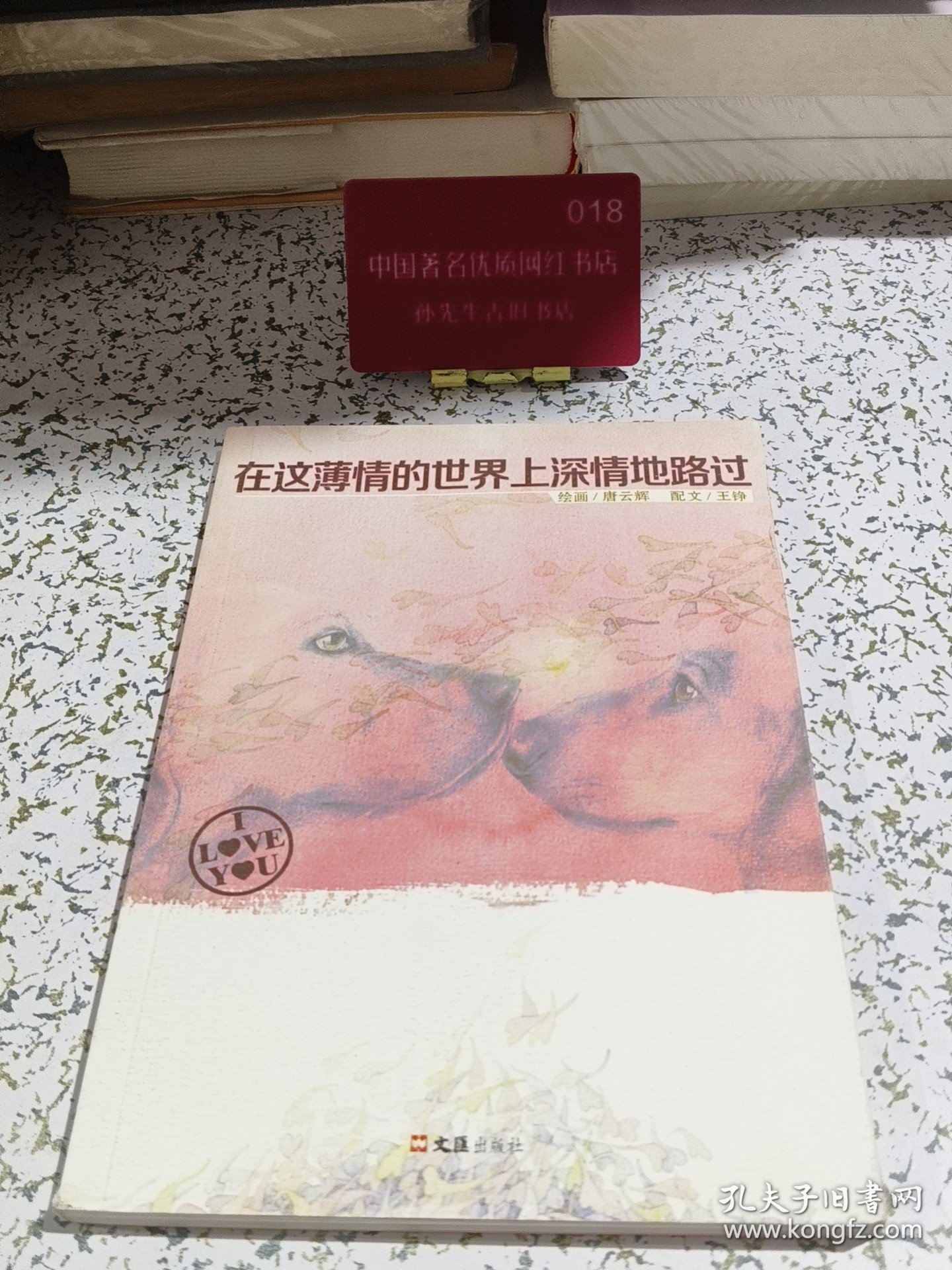在这薄情的世界上深情地路过