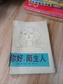 你好，陌生人（美国当代作家短篇小说集）。
