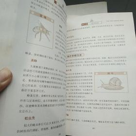 图解野外生存手册