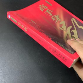 高手身影：中国商业原生态实战案例